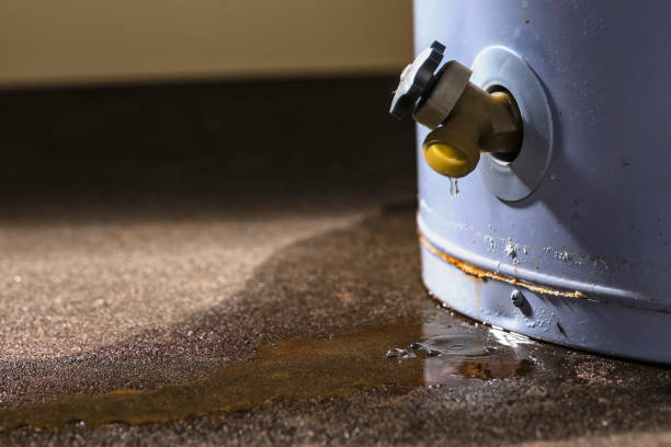 Best Flood restoration services  in Baldwin, PA