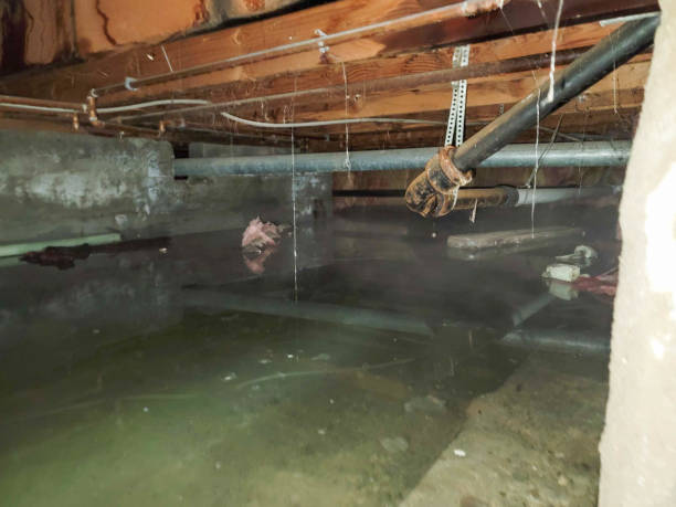Best Water damage restoration near me  in Baldwin, PA