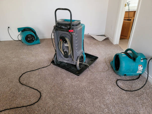Carpet water damage restoration in Baldwin, PA