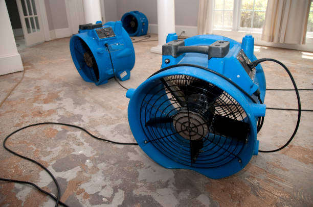 Best Flooded house restoration  in Baldwin, PA