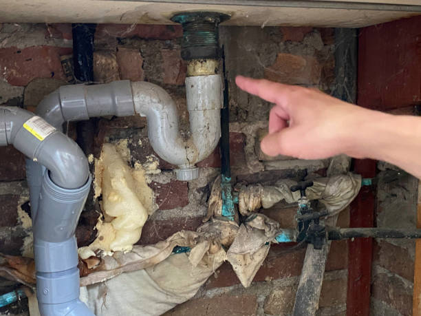 Best Water damage contractors near me  in Baldwin, PA